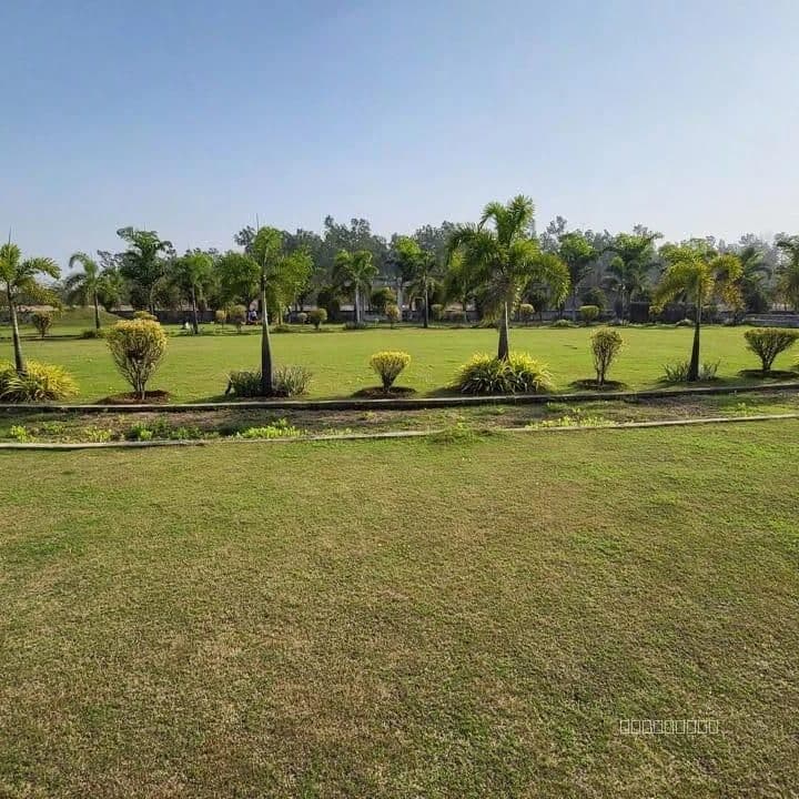 Aranya City Of Woodland — image 3