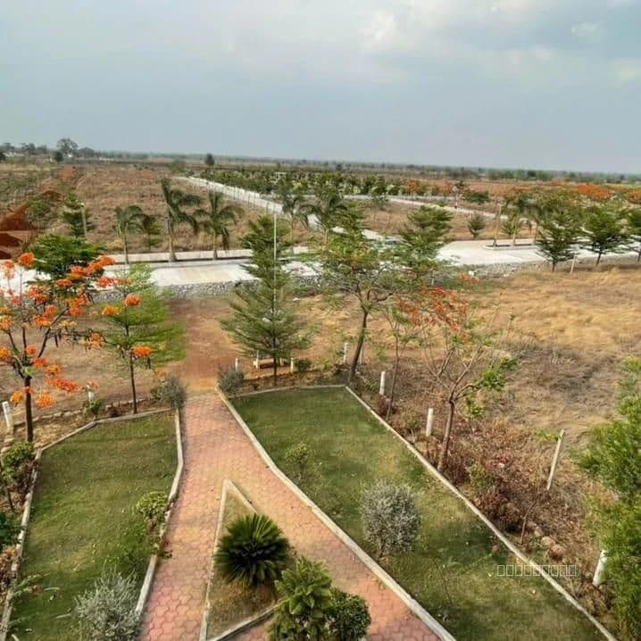 Aranya City Of Woodland — image 2